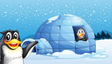 penguenler ve Eskimo