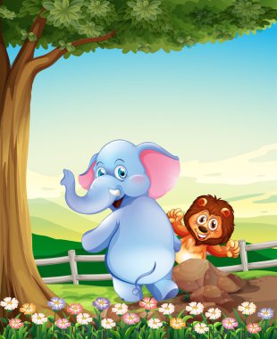 Bir fil ve bir aslan-tree yakınındaki tepenin