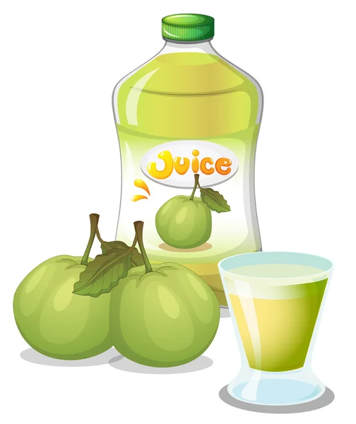 Guava juice — Stock vektor