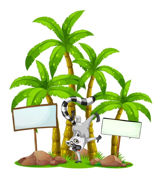 En lemur framför palmerna med Tom träskivor — Stock vektor