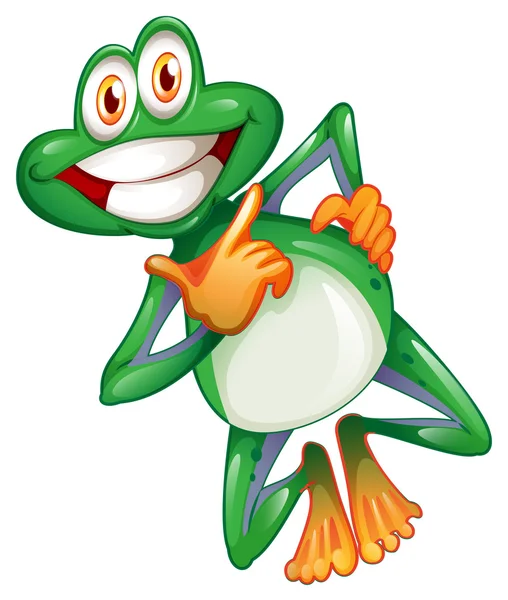 A smiling frog — Stock Vector