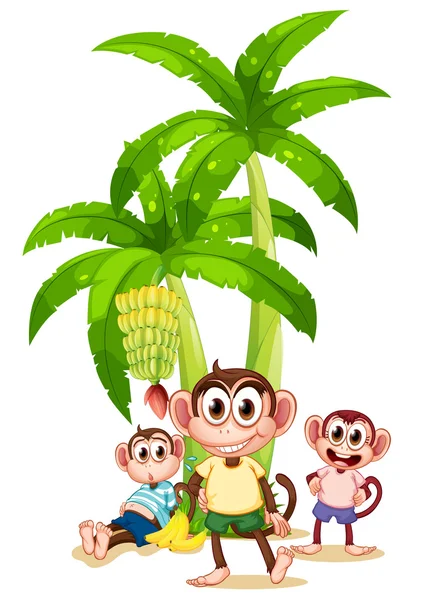 Tre apor nära bananplantor — Stock vektor