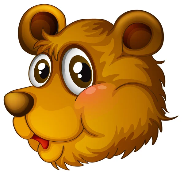 かわいいクマの頭 — ストックベクタ