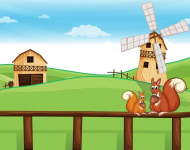 çitin üzerinden barnhouses yukarıda iki sincap