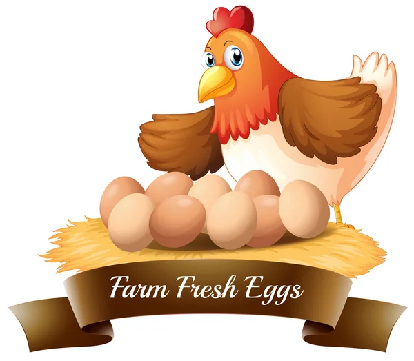 農場の新鮮な卵 — ストックベクタ