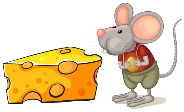 A slice of cheese beside the mouse — Stock Vector