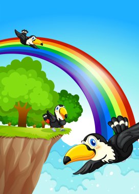 A rainbow near the cliff with flying birds clipart
