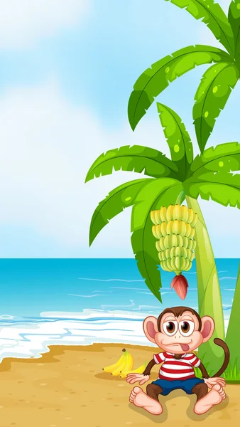 Une plage avec un singe sous la banane — Image vectorielle