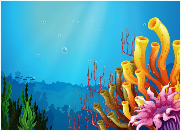 Кораллы под морем — стоковый вектор