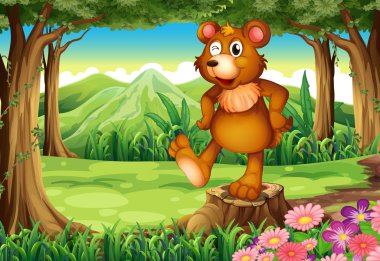 Orman ayakta güdük yukarıda bir ayı