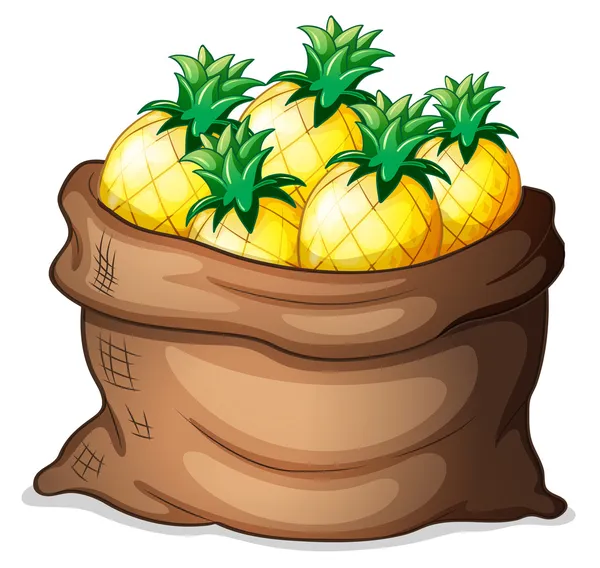 A sack of pineapples — Stock Vector