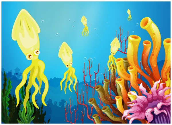 Yellow squids near the coral reefs — Stock Vector
