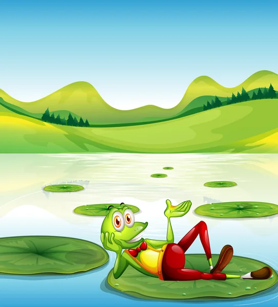 A frog above the waterlily floating at the pond — Stock Vector