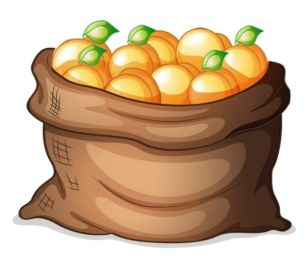 A sack of oranges — Stock Vector