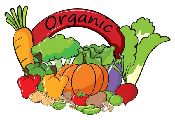 An organic label with vegetables — Stock Vector