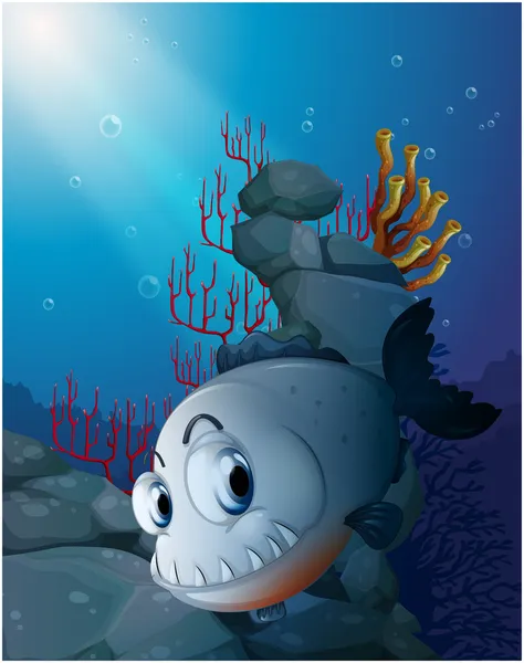 A scary piranha near the rocks — Stock Vector