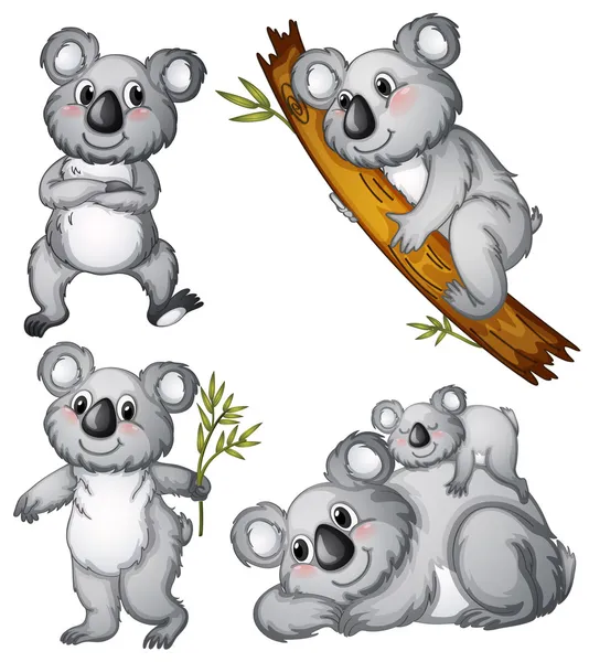 Eine Gruppe Koalas — Stockvektor