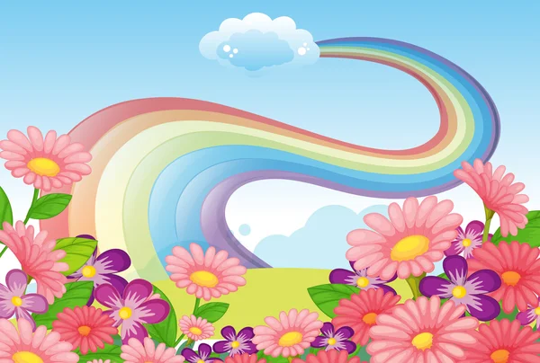 Bloemen op de top van een heuvel en een regenboog aan de hemel — Stockvector