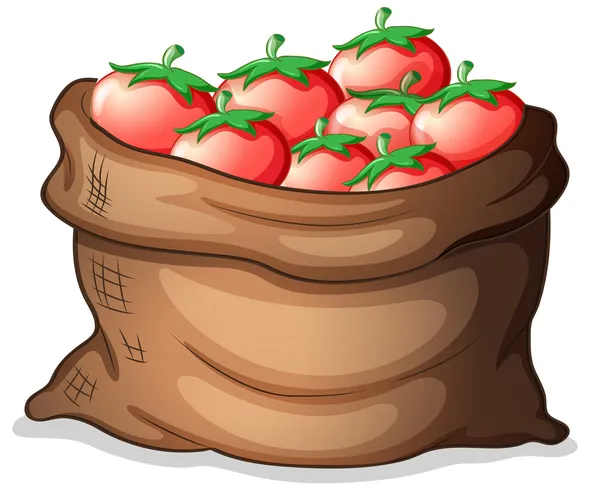 Мішок з помідорами — стоковий вектор
