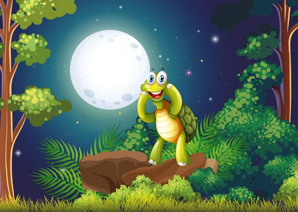 A smiling turtle at the forest in the middle of the night — Stock Vector