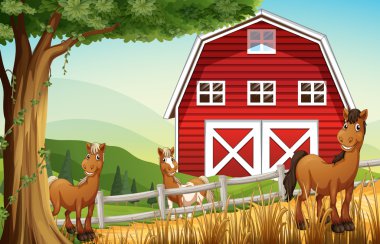 Kırmızı barnhouse atları Farm yakınındaki