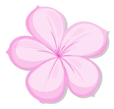 5-petal Pembe çiçek
