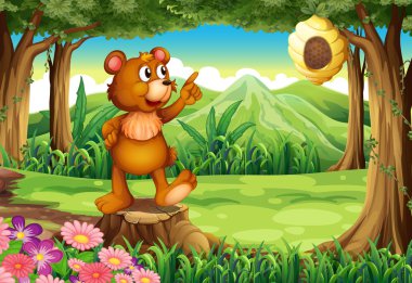 Orman ayakta güdük kovan yakınında yukarıda bir ayı