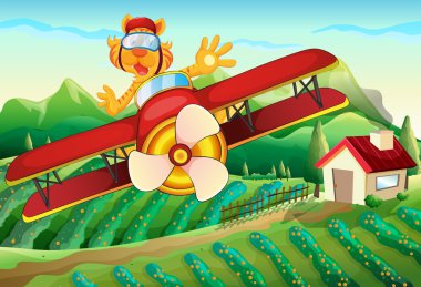 Aslan çiftlik üzerinde uçan bir uçak