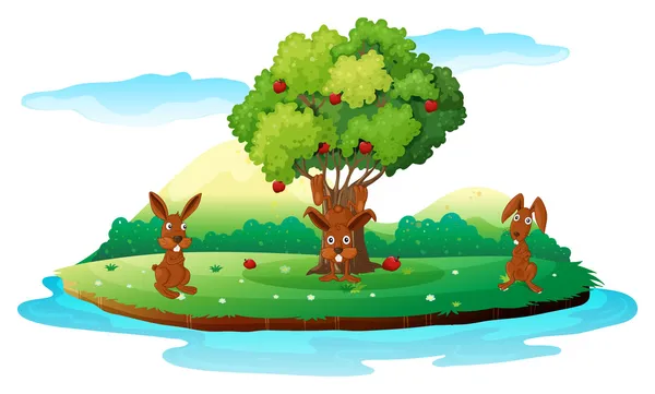 An island with three playful rabbits — Stock Vector