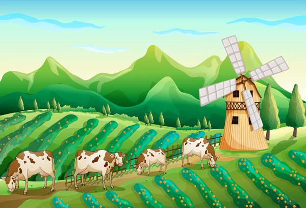 A farm with cows — Stock Vector