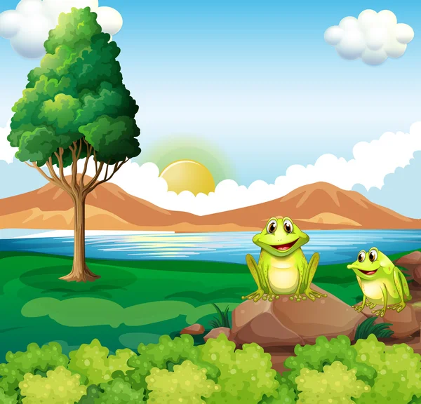 Two frogs above the rock near the river — Stock Vector