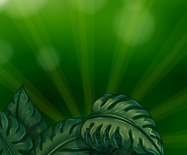 Blätter mit grünen Strahlen — Stockvektor
