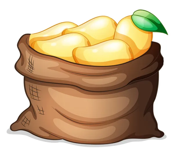 Un saco de mangos maduros — Vector de stock