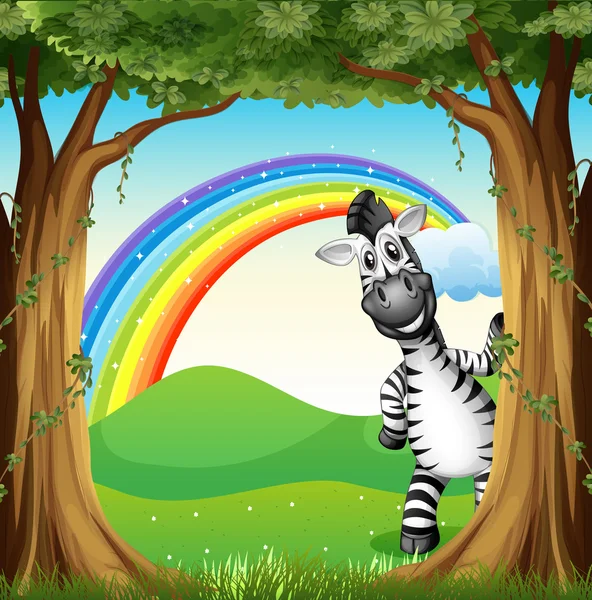 Een zebra in de buurt van de bomen en een regenboog aan de hemel — Stockvector