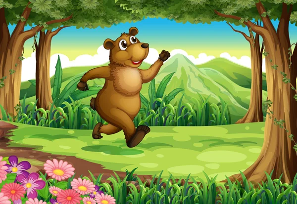 Medvěd v lese — Stockový vektor
