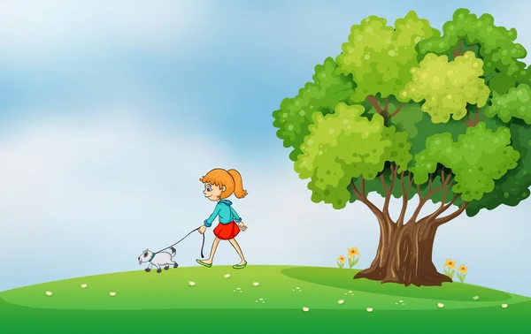 Dziewczyna, chodzenie z psem na wzgórzu — Stockvector