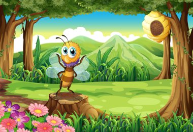 Güdük ve bir arı kovanı bir ağaç üzerinde bir arı