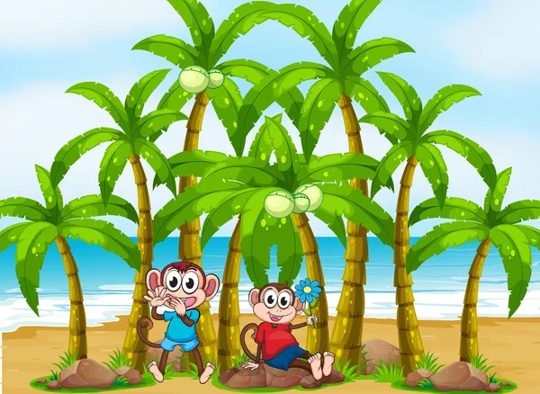 Two monkeys at the beach near the coconut trees — Stock Vector