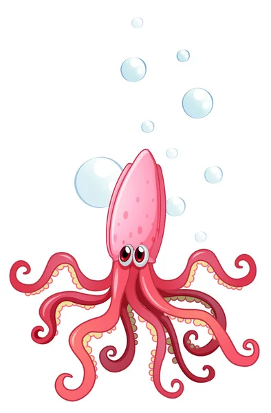 A squid — Stock Vector