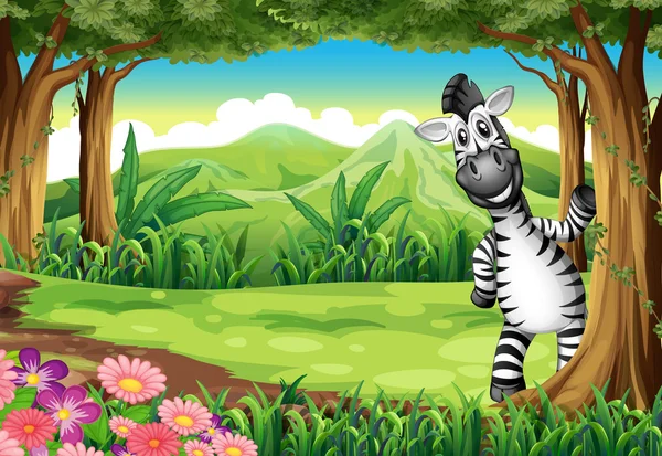 一只斑马在森林里玩 — 图库矢量图片