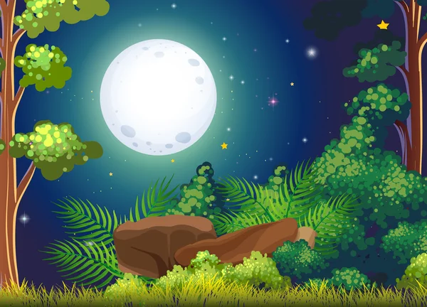 A green forest and a bright fullmoon — Stock Vector