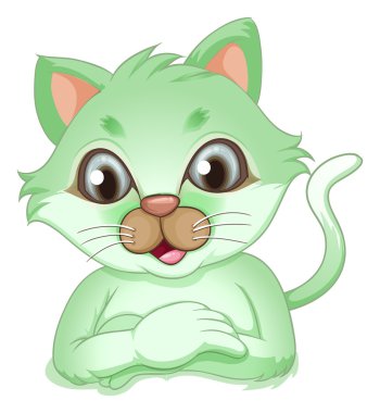 çok güzel bir yeşil kedi