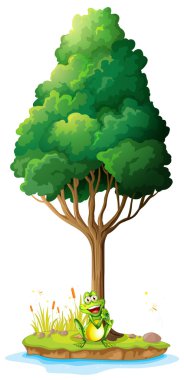 Ağacın altında bir kurbağa ile bir ada