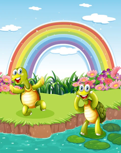 Dos tortugas juguetonas en el estanque con un arco iris en el cielo — Vector de stock