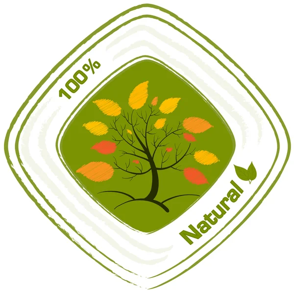 Doğal etiket tasarımı — Stok Vektör