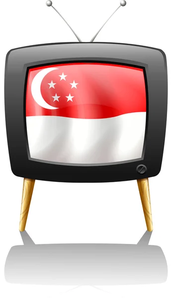De vlag van singapore binnen een televisie Rechtenvrije Stockillustraties