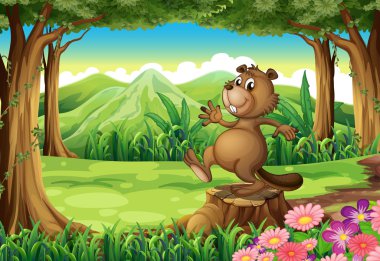 oynak kahverengi kunduz güdük yukarıda