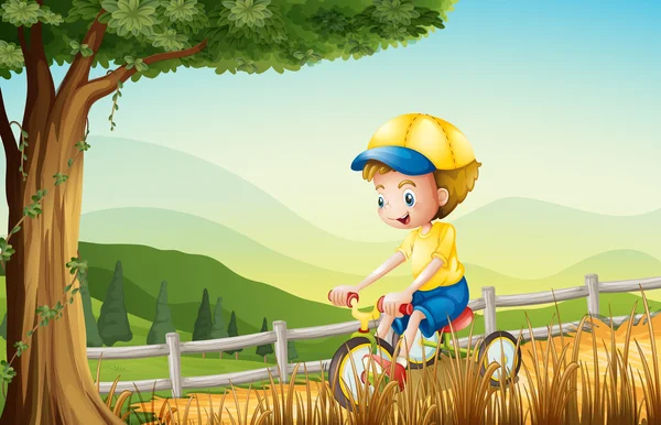 En ung pojke som leker med sin cykel — Stock vektor