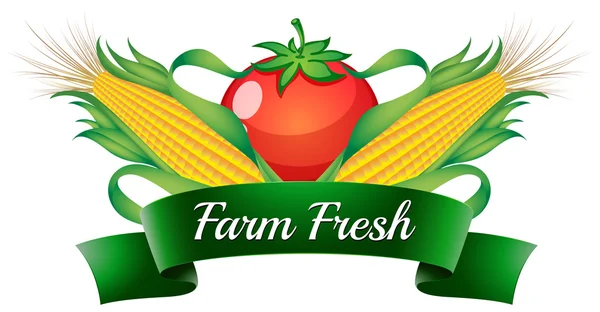 Una etiqueta fresca de granja con maíz dulce y tomate — Vector de stock