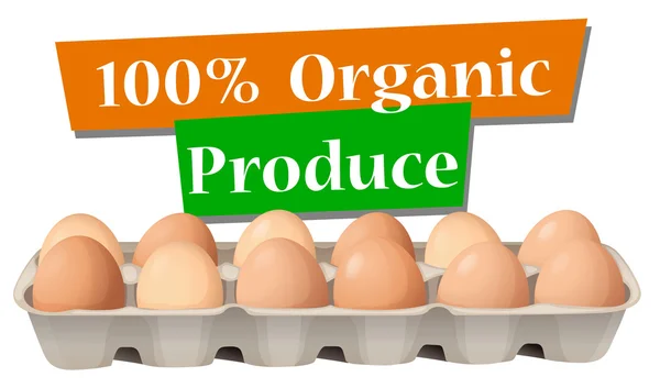 Organické produkce vajec — Stockový vektor